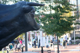 Occupy encampment in Freedom Plaza
